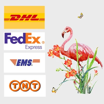  DHL Expedited IE és egyéb haj extra gyors szállítási költsége